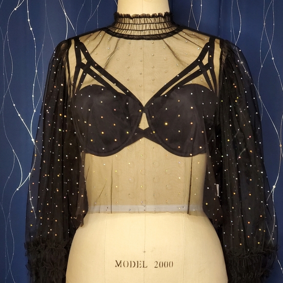 Crystal Studded Sheer Ruffled Blouse - Picture 2 of 6